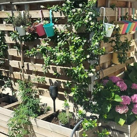 Studio Pour Location Vacances A La Semaine 아비뇽 외부 사진